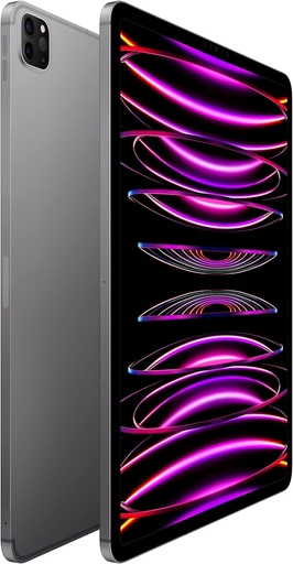 IPad Pro 12.9 2022 256GB Cellular Gray- [0.0  pcs]
