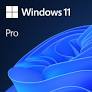 Microsoft Windows 11 Pro Software- [0.0  Units]