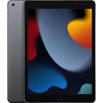 IPad 9 256GB Wifi Grey- [0.0  pcs]