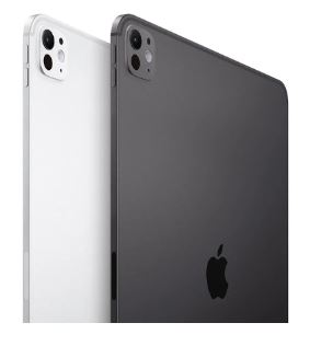 Apple iPad Pro 2024 M4 256GB 11''  Wifi- [0.0  Units]